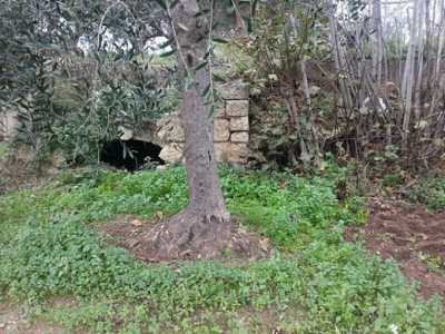 A pochi passi dal complesso ipogeo: si intravedono le entrate di due grotte
